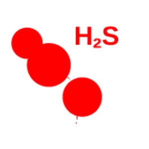 Hydrogen Sulphide – H2S