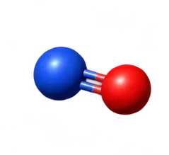 Nitric Oxide – NO